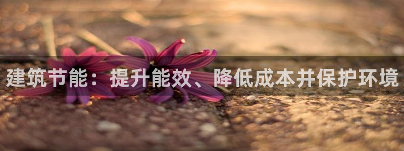 e尊电竞：建筑节能：提升能效、降低成本并保护环境
