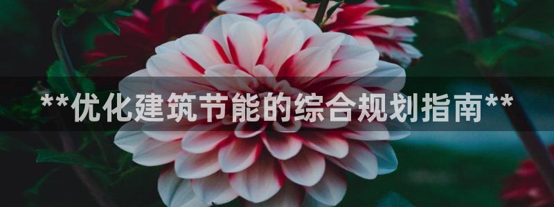 谁知道e尊国际的网址：**优化建筑节能的综合规划指南**