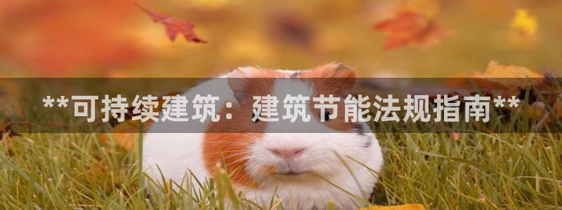 e尊国际的手机登录网站：**可持续建筑：建筑节能法规指南**