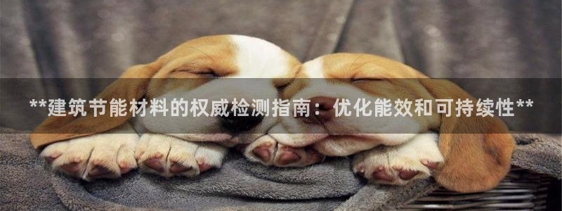 e尊国际平台：**建筑节能材料的权威检测指南：优化能效和可持续性**