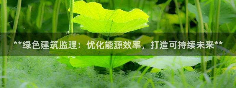 e尊国际的手机登录网站：**绿色建筑监理：优化能源效率，打造可持续未来**