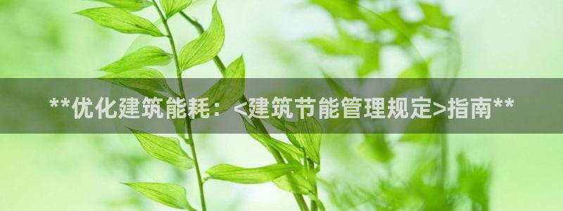 e尊国际-可可计划：**优化建筑能耗：<建筑节能管理规定>指南**