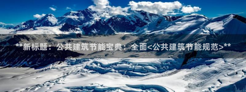 e尊国际客户端下载：**新标题：公共建筑节能宝典：全面<公共建筑节能规范>**