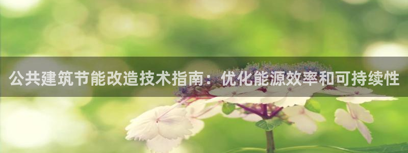 尊亿娱乐国际官网：公共建筑节能改造技术指南：优化能源效率和可持续性