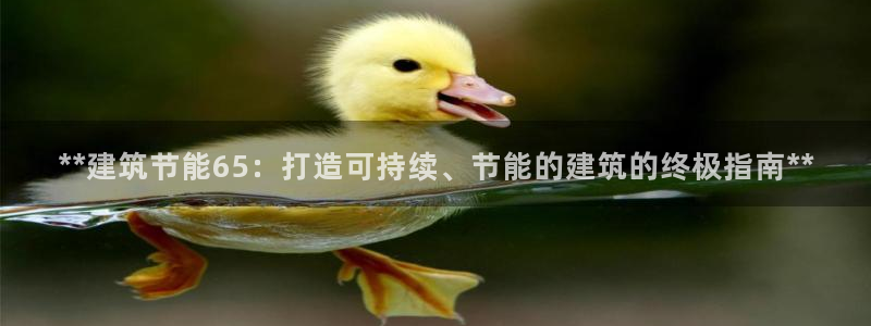 e尊国际官网app：**建筑节能65：打造可持续、节能的建筑的终极指南**