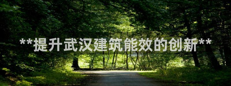 e尊国际官网app：**提升武汉建筑能效的创新**