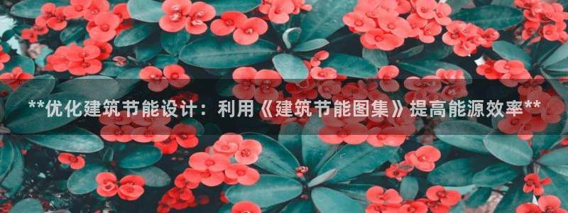 e尊国际-可可计划：**优化建筑节能设计：利用《建筑节能图集》提高能源效率**