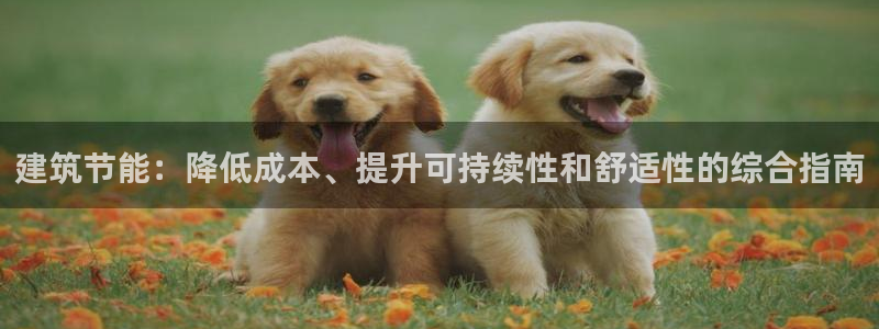 e尊国际官网app：建筑节能：降低成本、提升可持续性和舒适性的综合指南