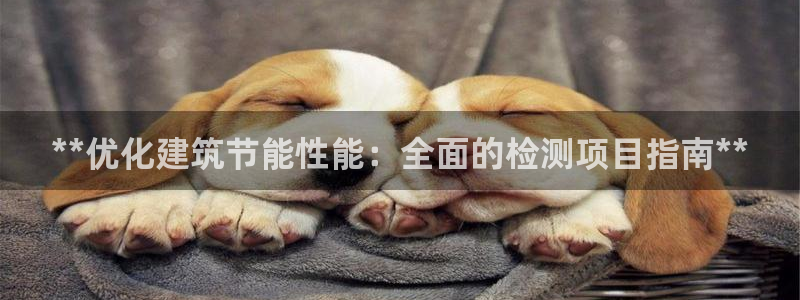 e尊国际娱乐官网下载：**优化建筑节能性能：全面的检测项目指南**
