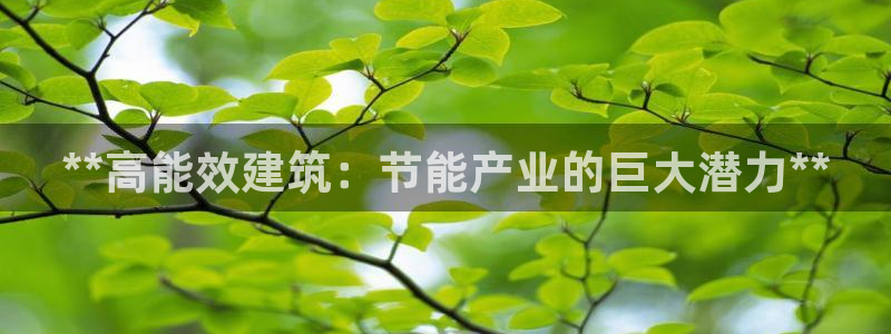 e尊国际官网app：**高能效建筑：节能产业的巨大潜力**