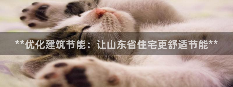 e尊国际官方网站：**优化建筑节能：让山东省住宅更舒适节能**