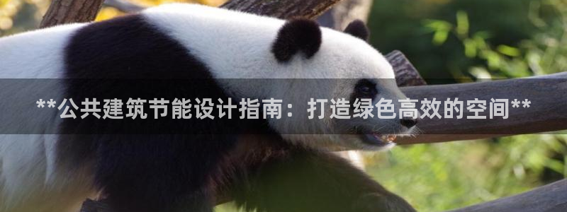 e尊国际平台：**公共建筑节能设计指南：打造绿色高效的空间**