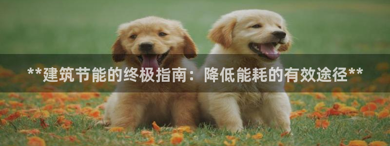 e尊国际的手机登录网站：**建筑节能的终极指南：降低能耗的有效途径**
