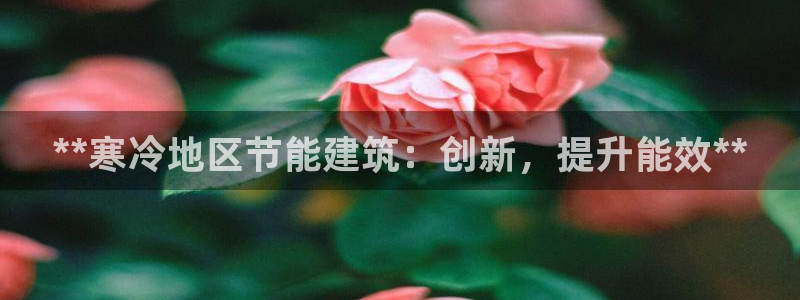 e尊国际app：**寒冷地区节能建筑：创新，提升能效**