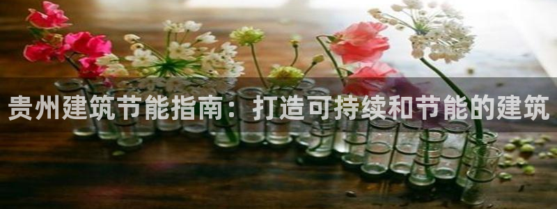 e尊国际7779：贵州建筑节能指南：打造可持续和节能的建筑