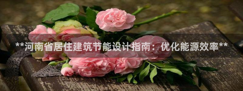 e尊国际7779：**河南省居住建筑节能设计指南：优化能源效率**