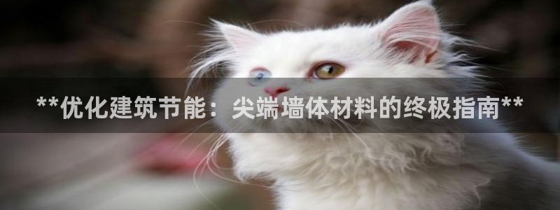 e尊国际官方网站：**优化建筑节能：尖端墙体材料的终极指南**