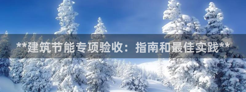E尊国际网站：**建筑节能专项验收：指南和最佳实践**