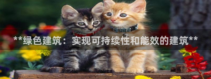 e尊国际平台：**绿色建筑：实现可持续性和能效的建筑**