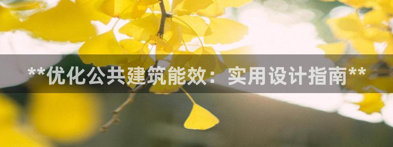 e尊国际平台：**优化公共建筑能效：实用设计指南**