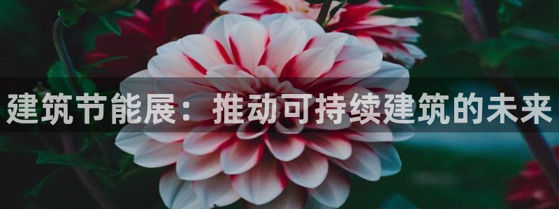 e尊电竞