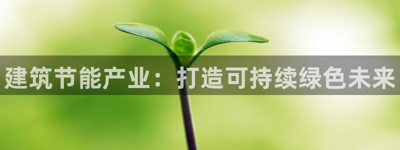 e尊国际平台：建筑节能产业：打造可持续绿色未来