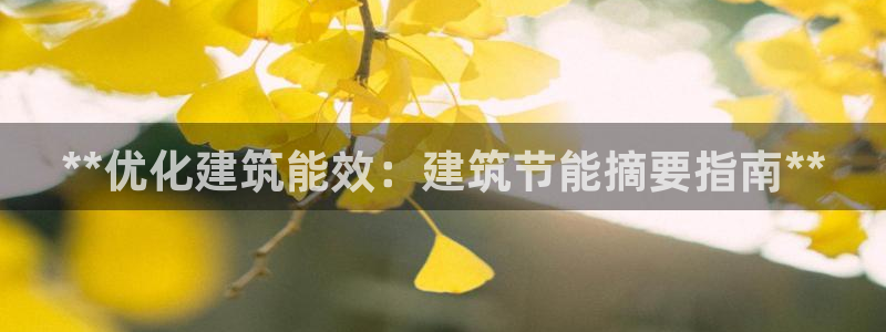 e尊平台：**优化建筑能效：建筑节能摘要指南**