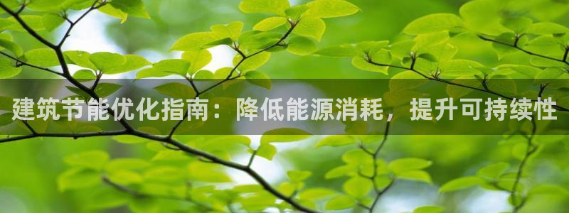 E尊国际：建筑节能优化指南：降低能源消耗，提升可持续性