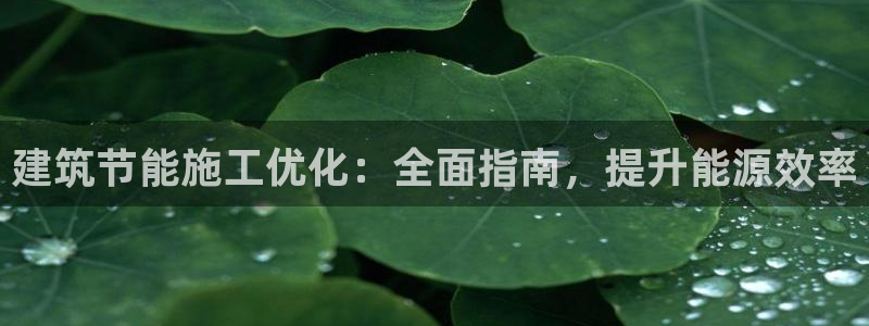 e尊国际官网·网址