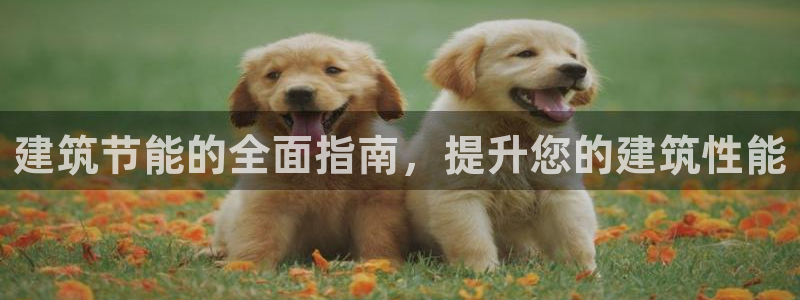 e尊国际娱乐官网地址：建筑节能的全面指南，提升您的建筑性能