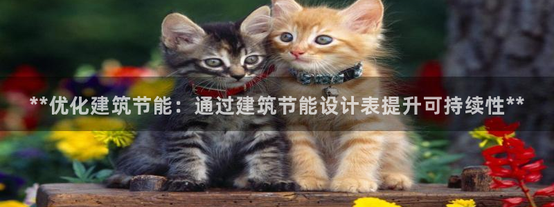 e尊国际-e尊国际官网