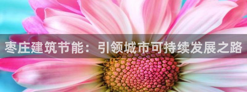 e尊国际娱乐官网地址
