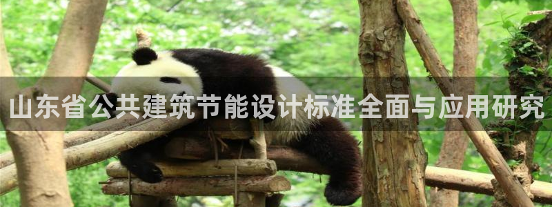 e尊官网：山东省公共建筑节能设计标准全面与应用研究