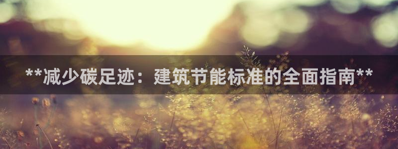 e尊国际平台