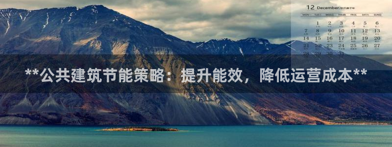 e尊国际网址：**公共建筑节能策略：提升能效，降低运营成本**