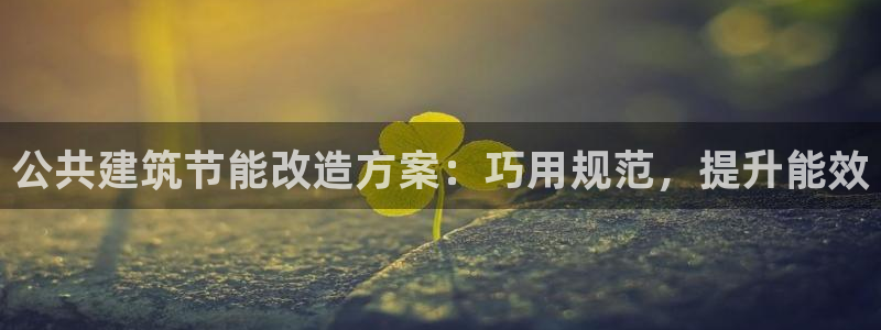 e尊国际平台：公共建筑节能改造方案：巧用规范，提升能效