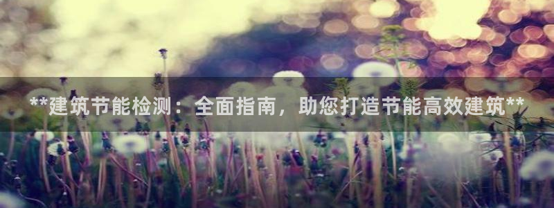 e尊国际官网app：**建筑节能检测：全面指南，助您打造节能高效建筑**