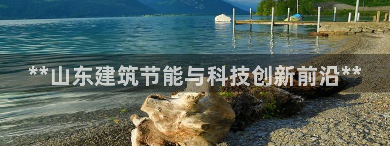 谁知道e尊国际的网址：**山东建筑节能与科技创新前沿**