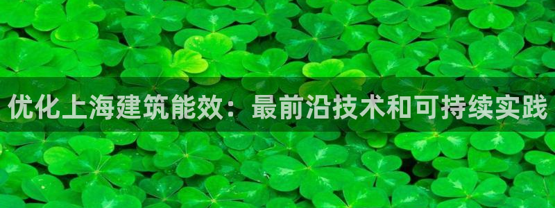 e尊国际娱乐官网地址：优化上海建筑能效：最前沿技术和可持续实践