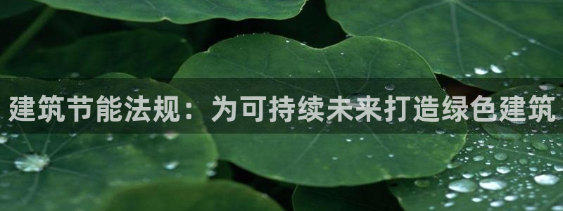 e尊国际娱乐官网地址：建筑节能法规：为可持续未来打造绿色建筑