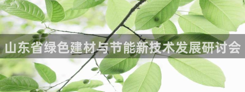 e尊国际平台：山东省绿色建材与节能新技术发展研讨会