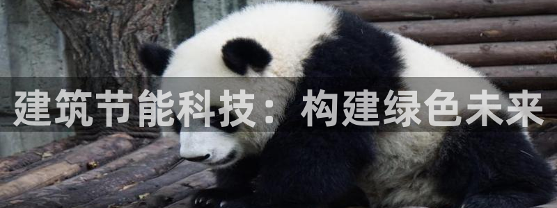 e尊平台：建筑节能科技：构建绿色未来