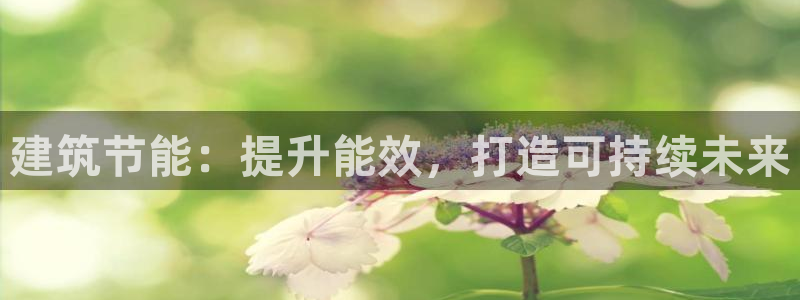 E尊国际网站：建筑节能：提升能效，打造可持续未来