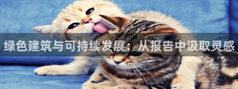 e尊国际娱乐官网地址：绿色建筑与可持续发展：从报告中汲取灵感