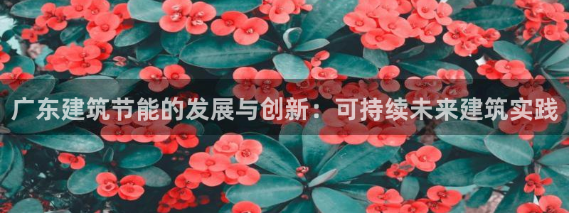e尊国际-e尊国际官网