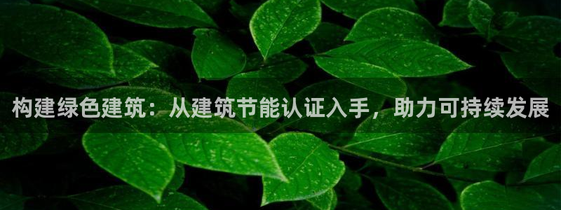 尊亿娱乐国际官网