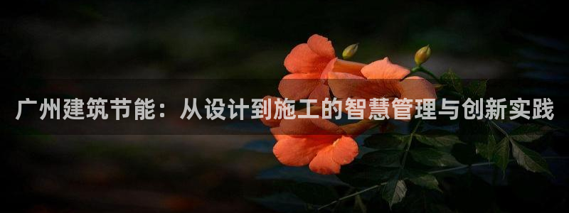 e尊国际平台：广州建筑节能：从设计到施工的智慧管理与创新实践