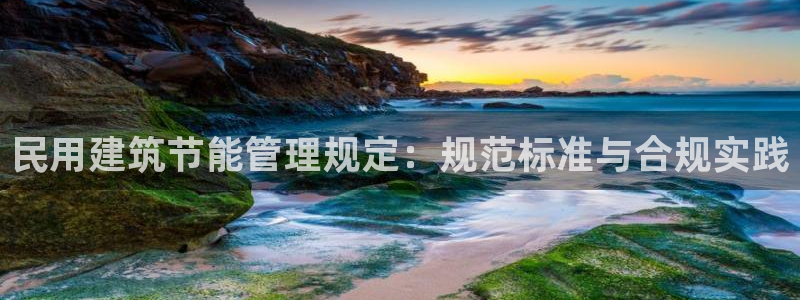 e尊国际-可可计划