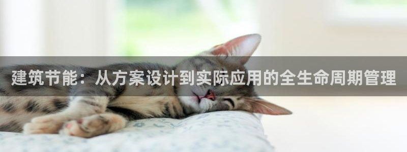 e尊国际7779