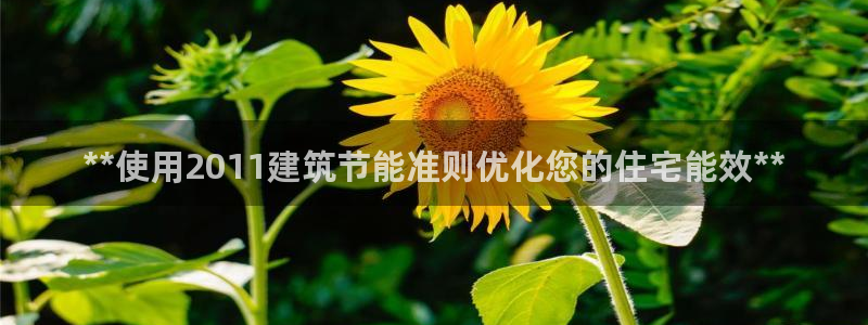 e尊国际的手机登录网站：**使用2011建筑节能准则优化您的住宅能效**